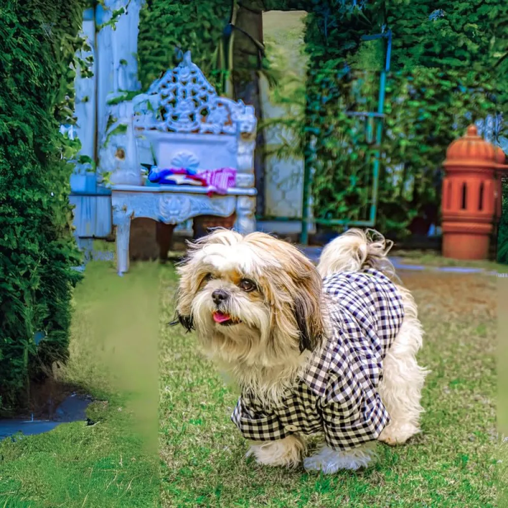 Woofiezz Monochrome Check Classic Shirt for Dogs and Cats (Black/White)